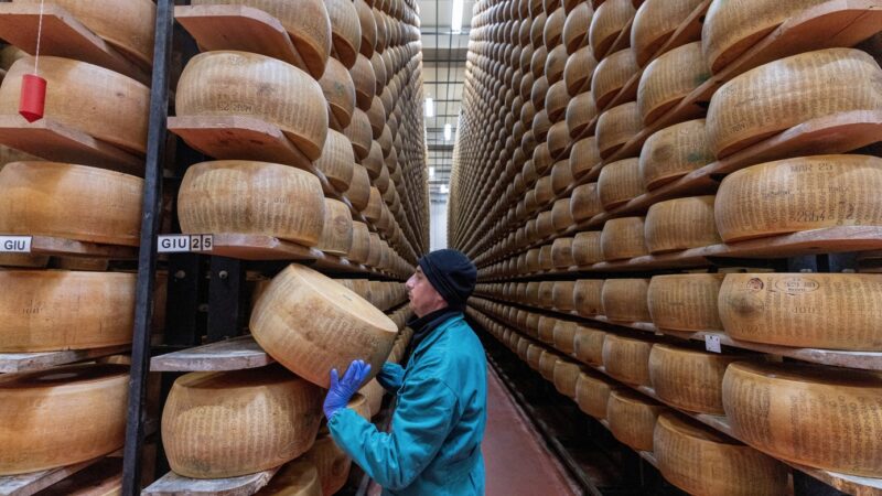 ‘Não queremos ser a última geração a comer esse queijo’: ondas de calor ameaçam a produção do Parmigiano Reggiano na Itália