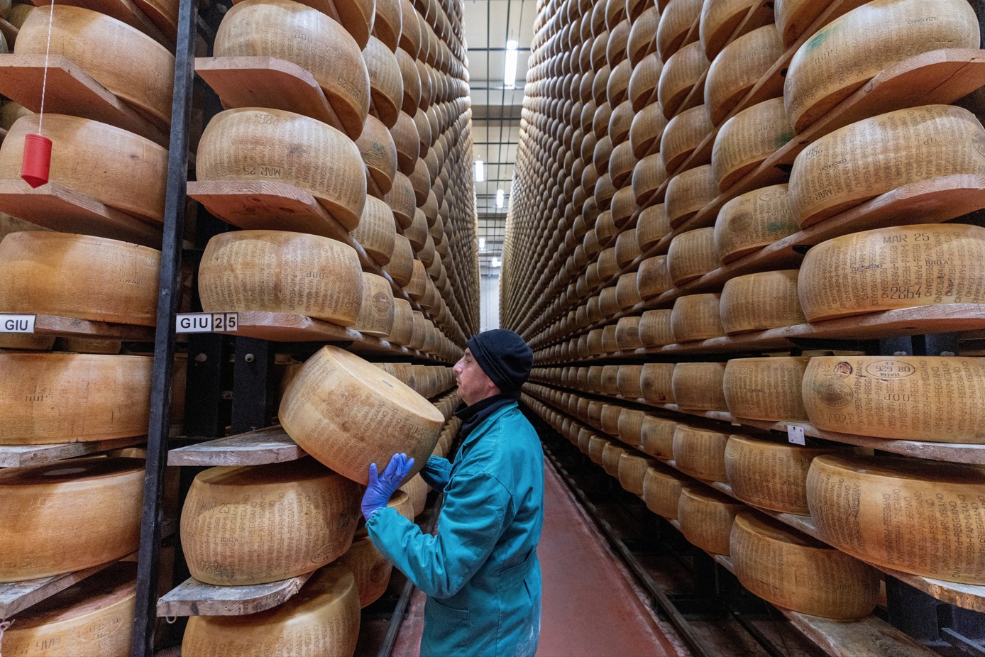 ‘Não queremos ser a última geração a comer esse queijo’: ondas de calor ameaçam a produção do Parmigiano Reggiano na Itália