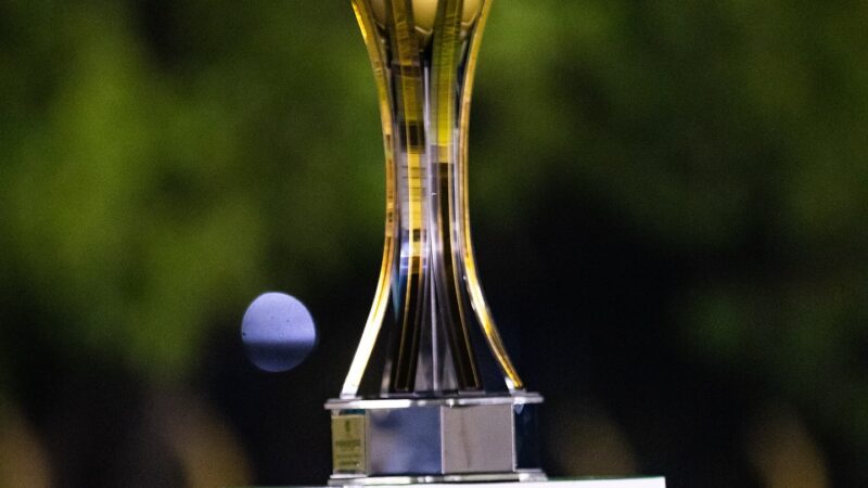 Campeonato Piauiense Série B: veja quantos clubes participaram de cada edição neste século