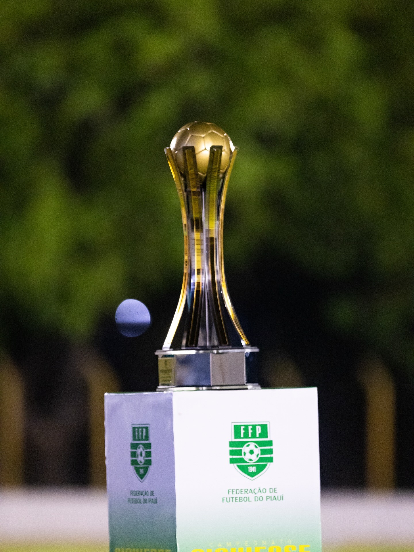 Campeonato Piauiense Série B: veja quantos clubes participaram de cada edição neste século
