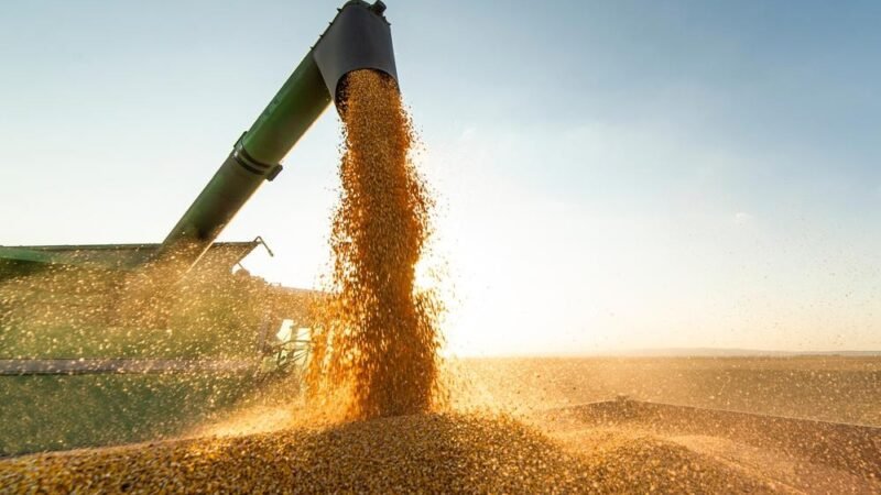 China compra mais soja do Brasil enquanto reduz importações dos EUA