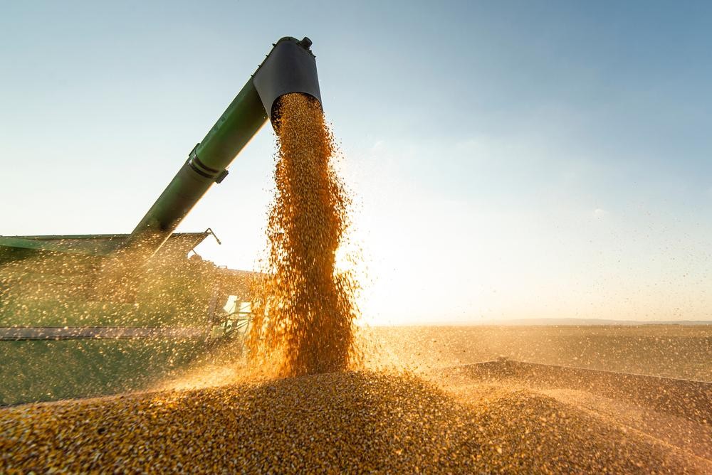 China compra mais soja do Brasil enquanto reduz importações dos EUA