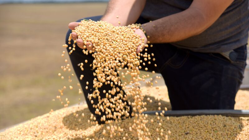 Tarifaço deve atingir 36,5% das exportações do agro para os EUA, diz CNA