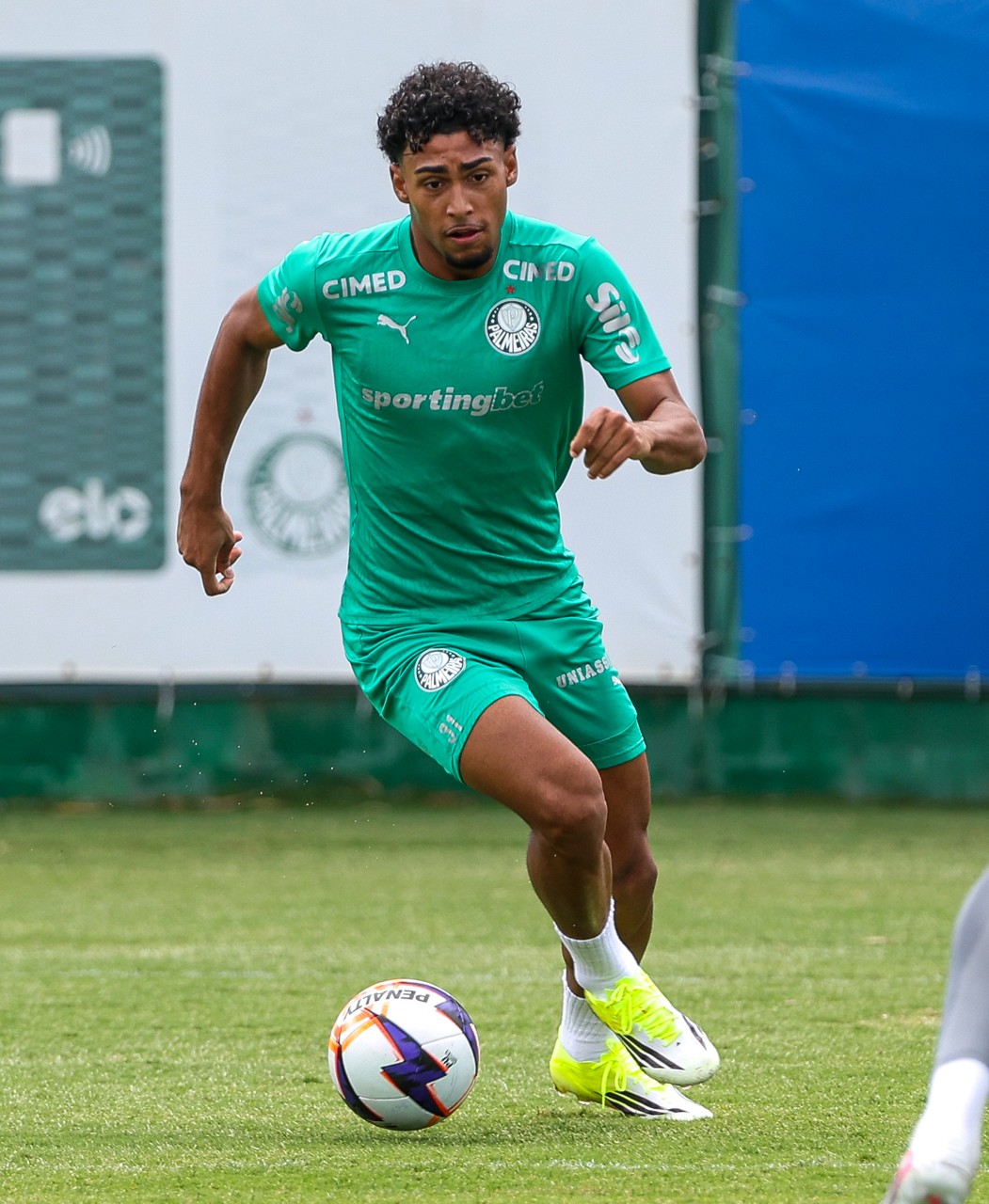 Palmeiras negocia empréstimo de Luighi para o New York City
