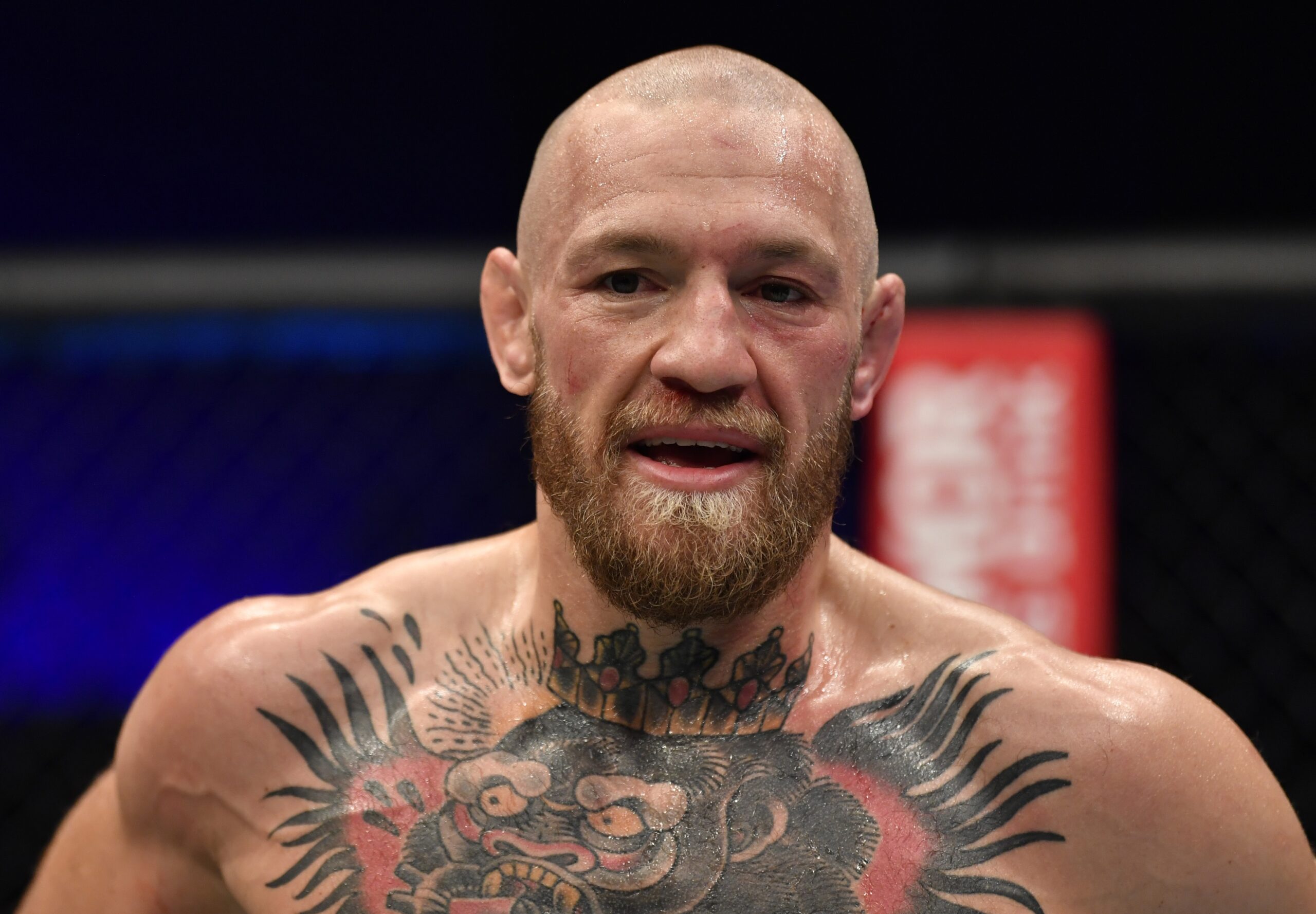 McGregor promete “obra-prima” em revanche contra Holloway: “Estou no meu auge”