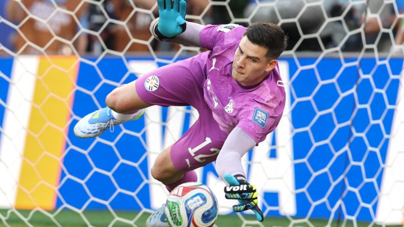Gato Mestre acerta 14 dos 16 classificados para oitavas de final da Copa do Mundo