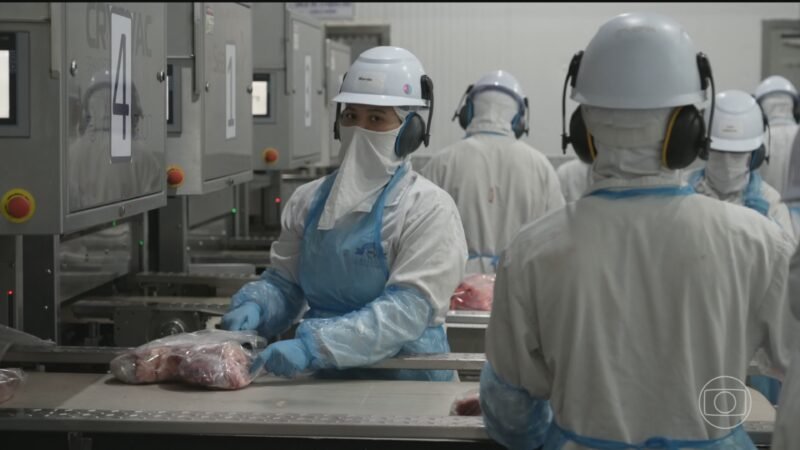 Brasil praticamente esgota cota de carne bovina à China e reduz abates, diz StoneX