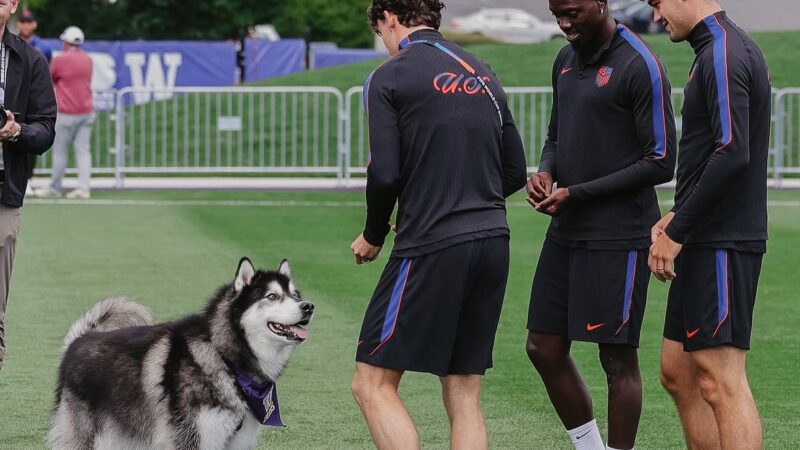 Mascote de universidade dos EUA “invade” treino e faz a alegria da seleção em Seattle