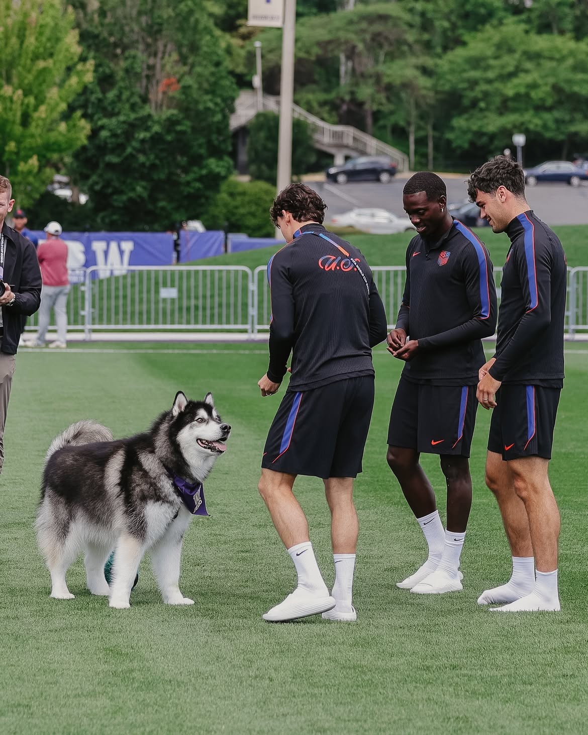 Mascote de universidade dos EUA “invade” treino e faz a alegria da seleção em Seattle