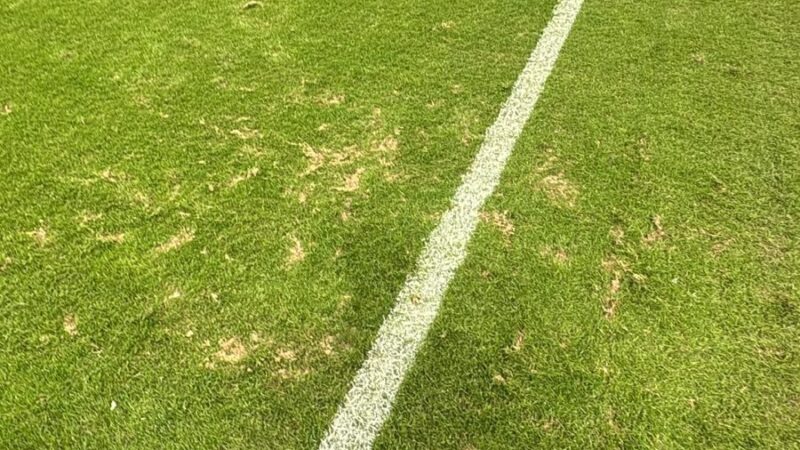 Diretor do Corinthians reconhece erro e cita força-tarefa para melhoria do gramado da Arena