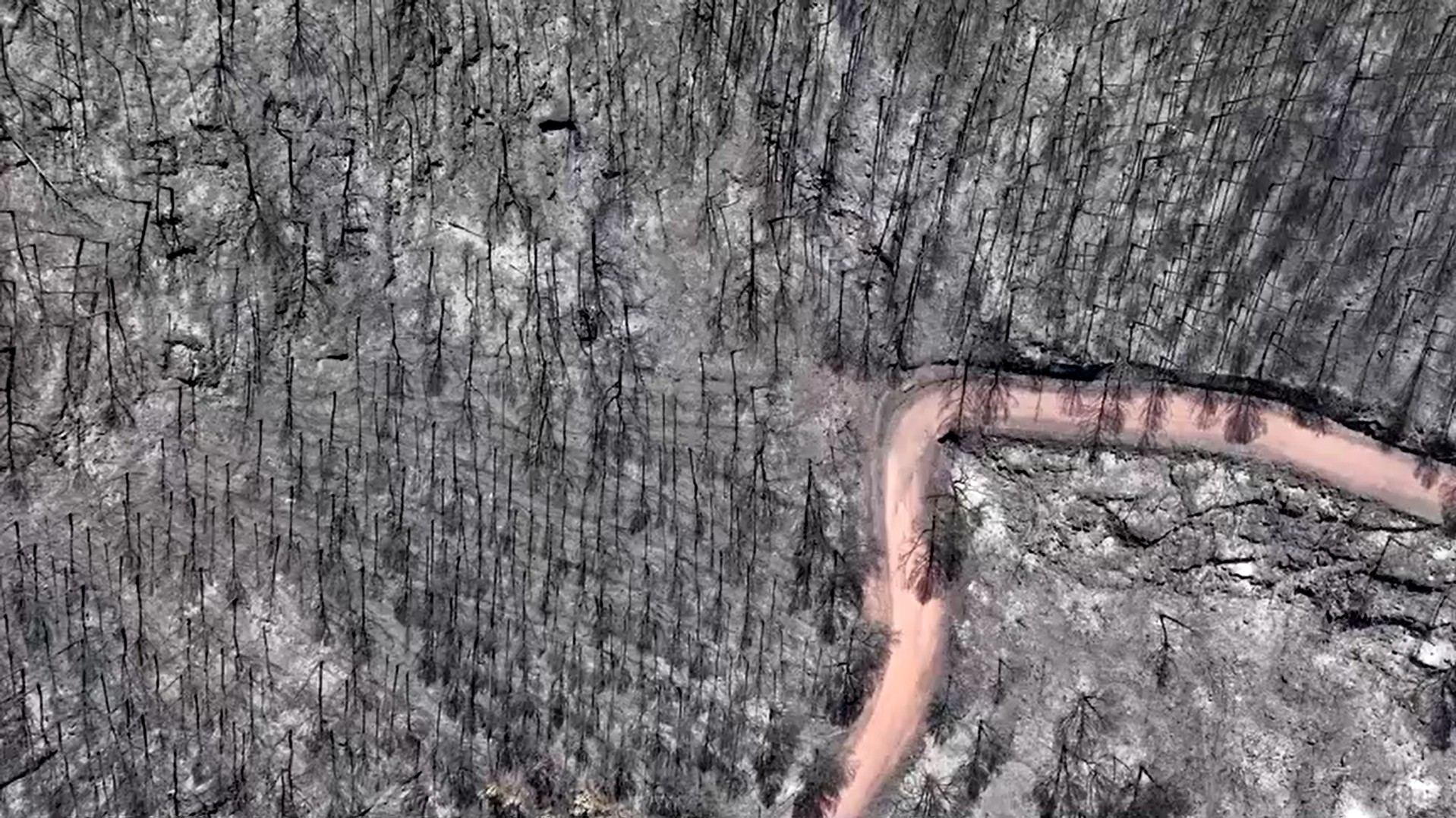 VÍDEO mostra devastação em florestas da Espanha após incêndios em meio a onda de calor
