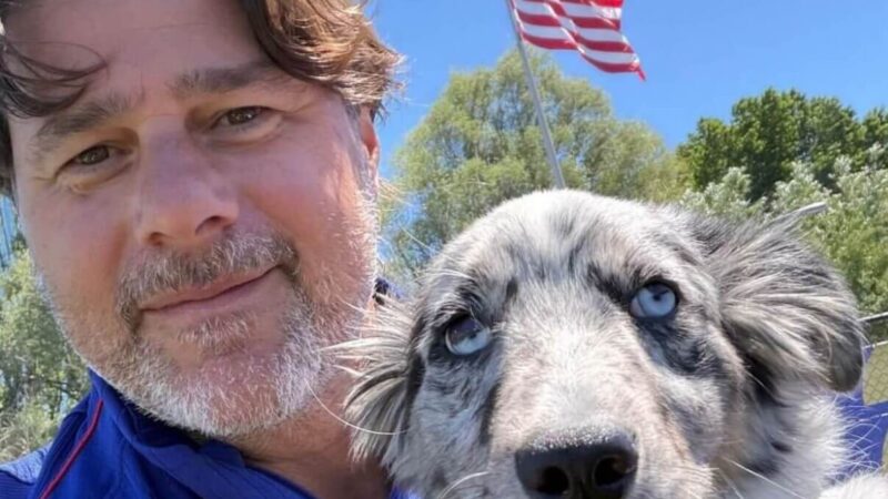 Entenda por que a seleção dos Estados Unidos usa cães para recuperar os jogadores na Copa