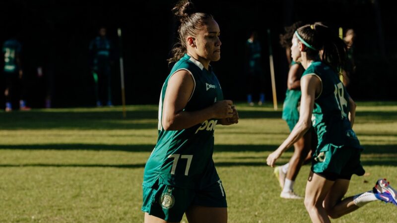Atlético-PI desembarca no Pará com reforço no ataque para enfrentar o Paysandu, pela Série A2