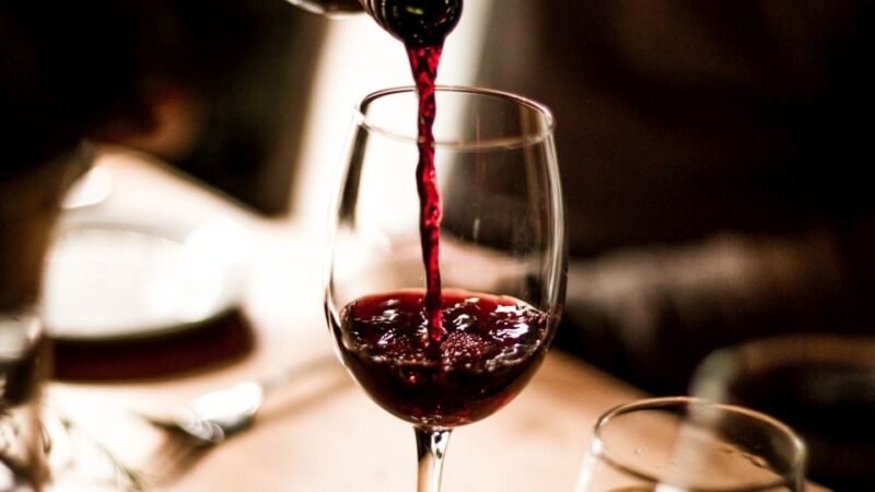 Calor extremo ameaça produção de vinho na França e acelera colheita de uvas