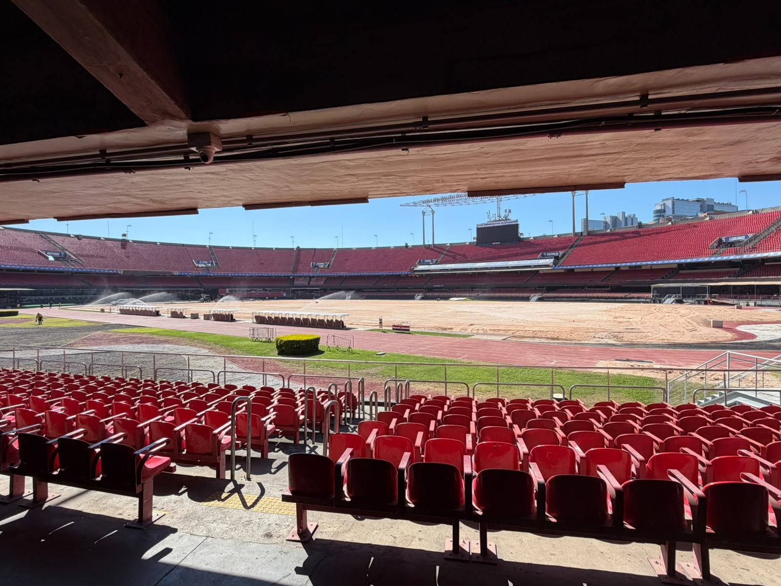 São Paulo inicia troca do gramado do Morumbis com processo para melhora da drenagem