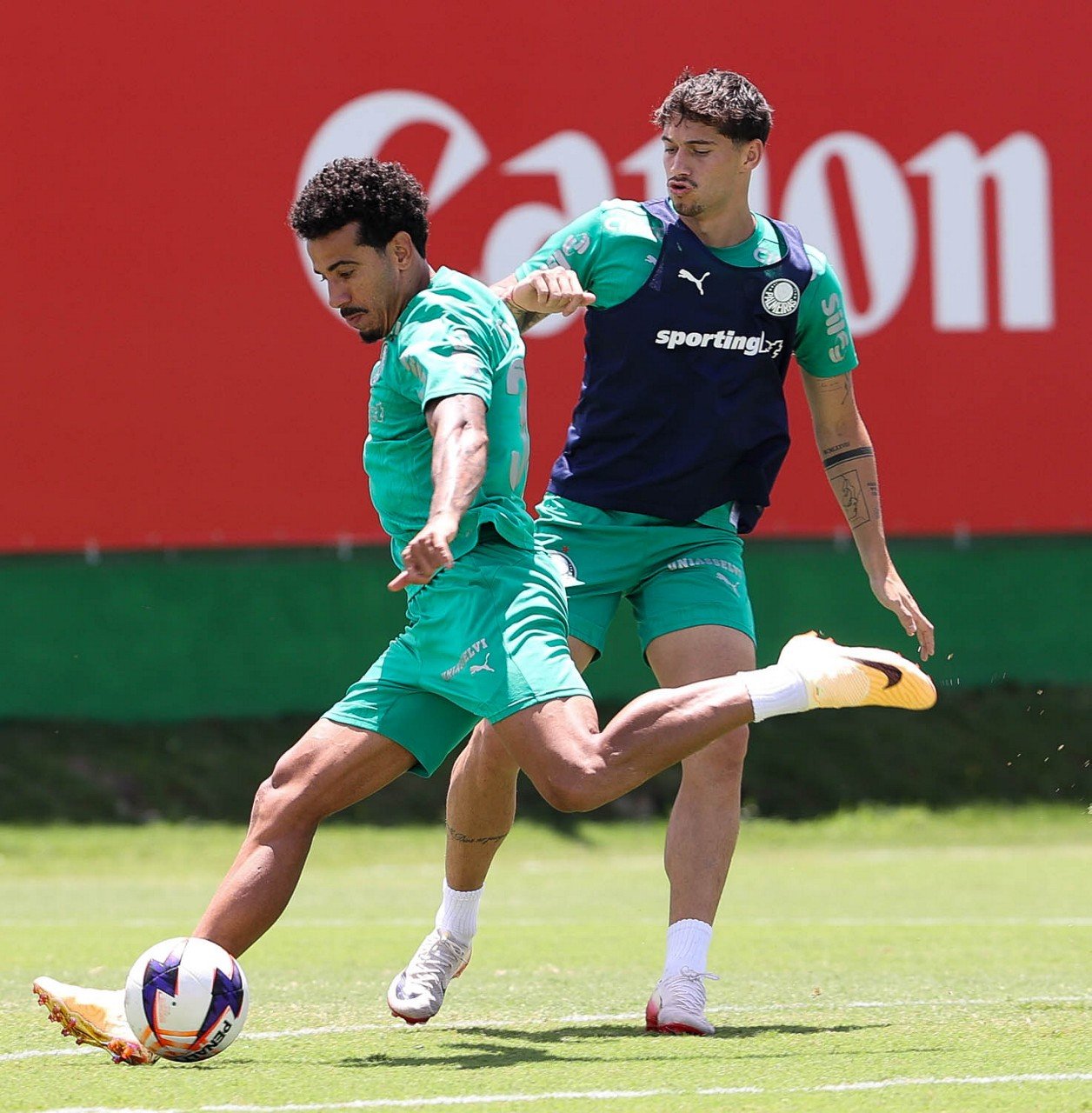 Palmeiras inicia semana decisiva de Libertadores com dúvida para vaga de Andreas; veja opções