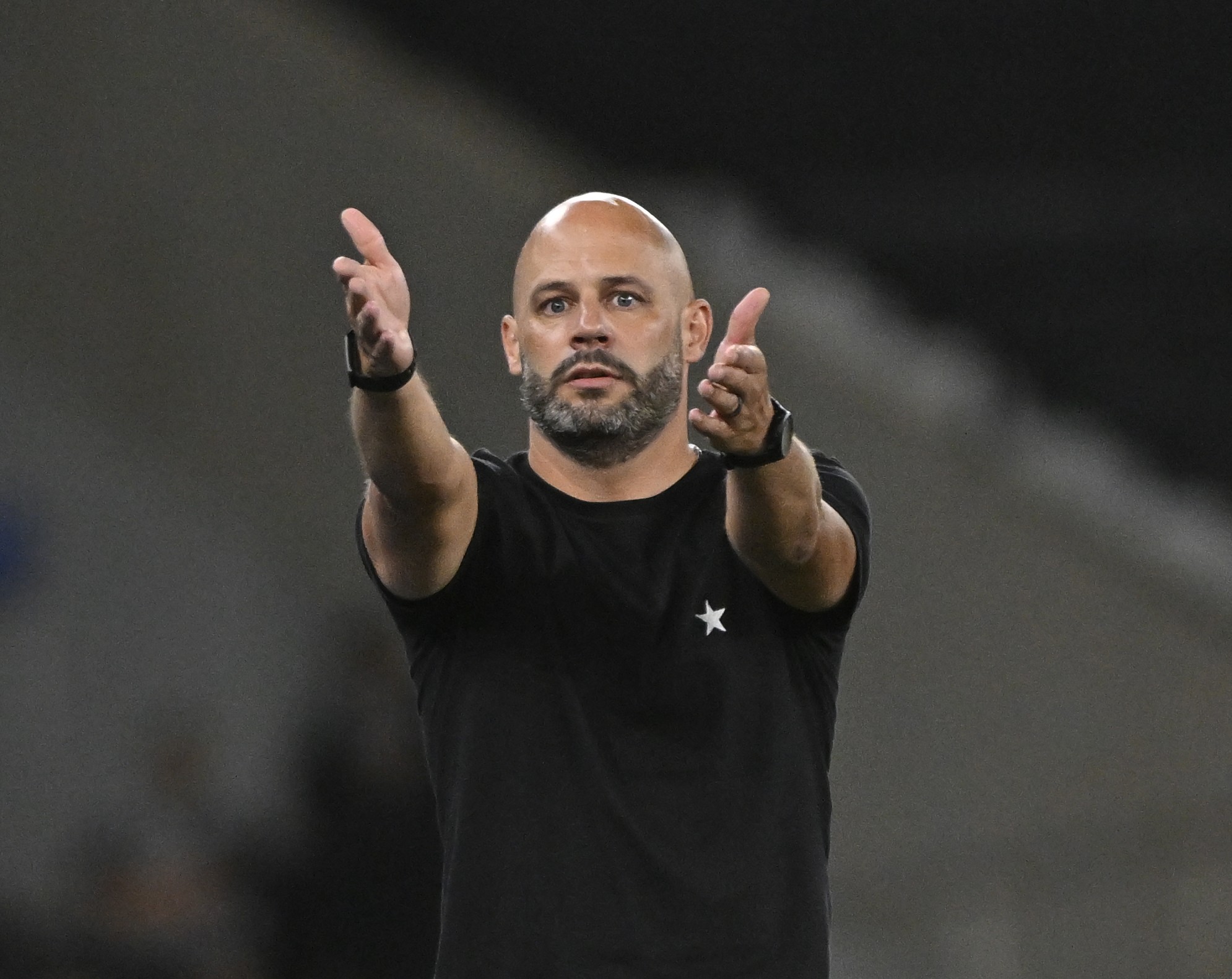 Mais dois jogadores: veja perfis buscados pelo Botafogo para reforçar o elenco