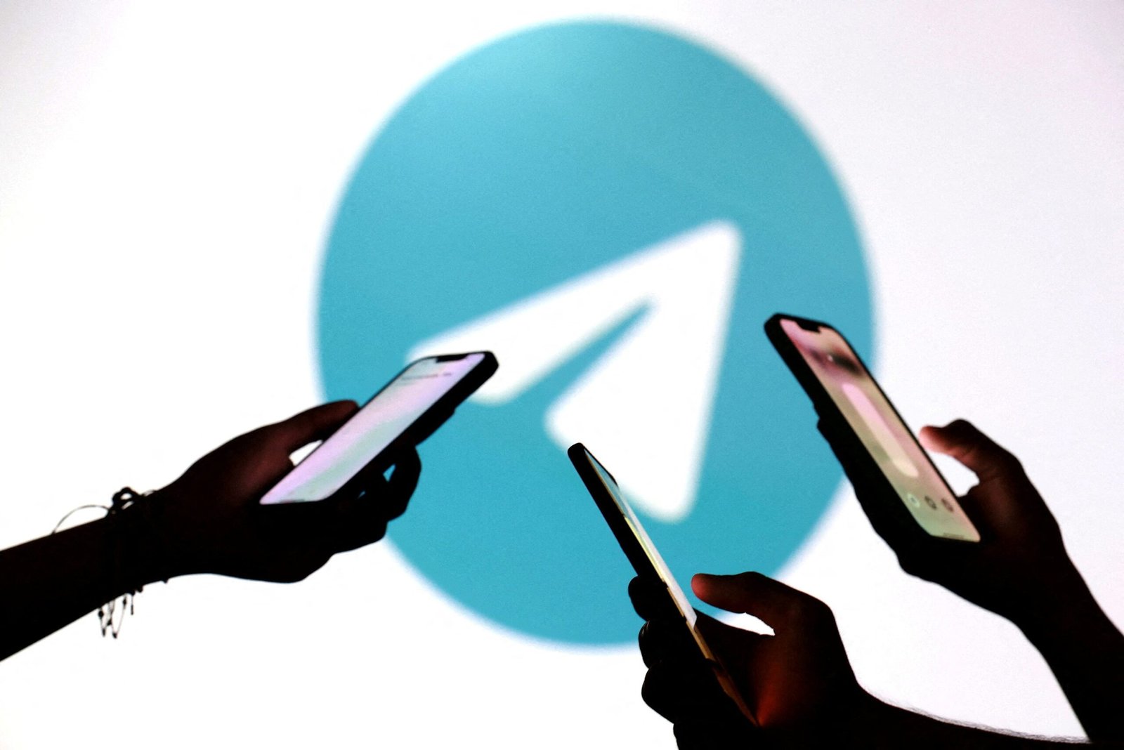 ONG brasileira denuncia à ANPD contas do Telegram com indícios de abuso sexual infantil