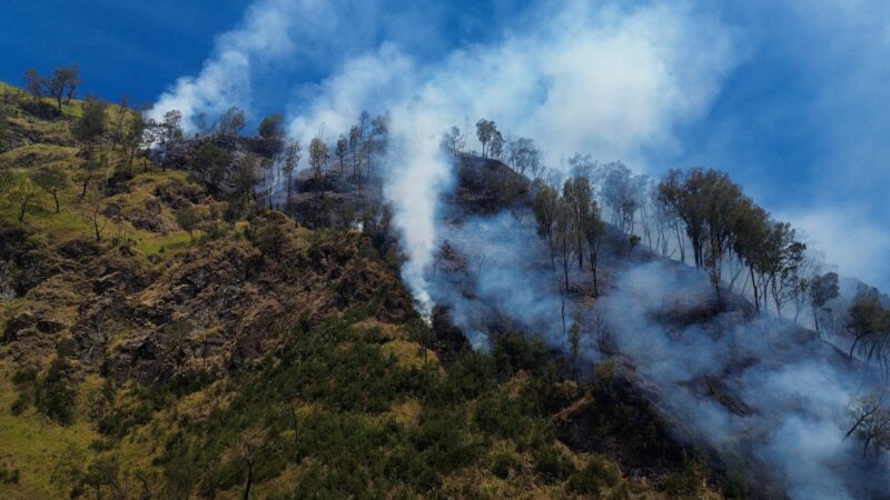 Indonésia fecha acesso ao Monte Bromo após avanço de incêndio florestal