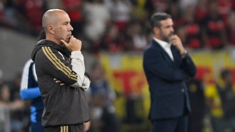 Jardim elogia torcida do Flamengo e festeja classificação na Libertadores: “Resultado justo”