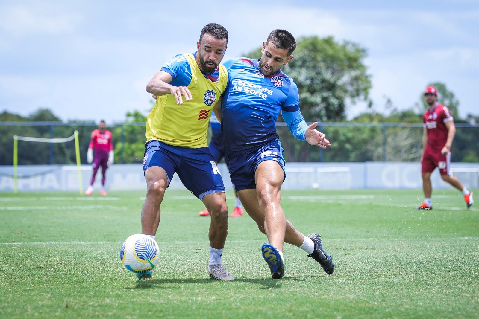 Caio Alexandre projeta dupla inédita de titular com Acevedo no Bahia: “Elevar o nível”