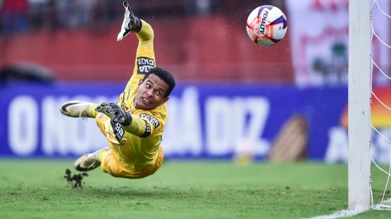 Noroeste contrata goleiro Diogo Silva, ex-Vasco e Ponte Preta