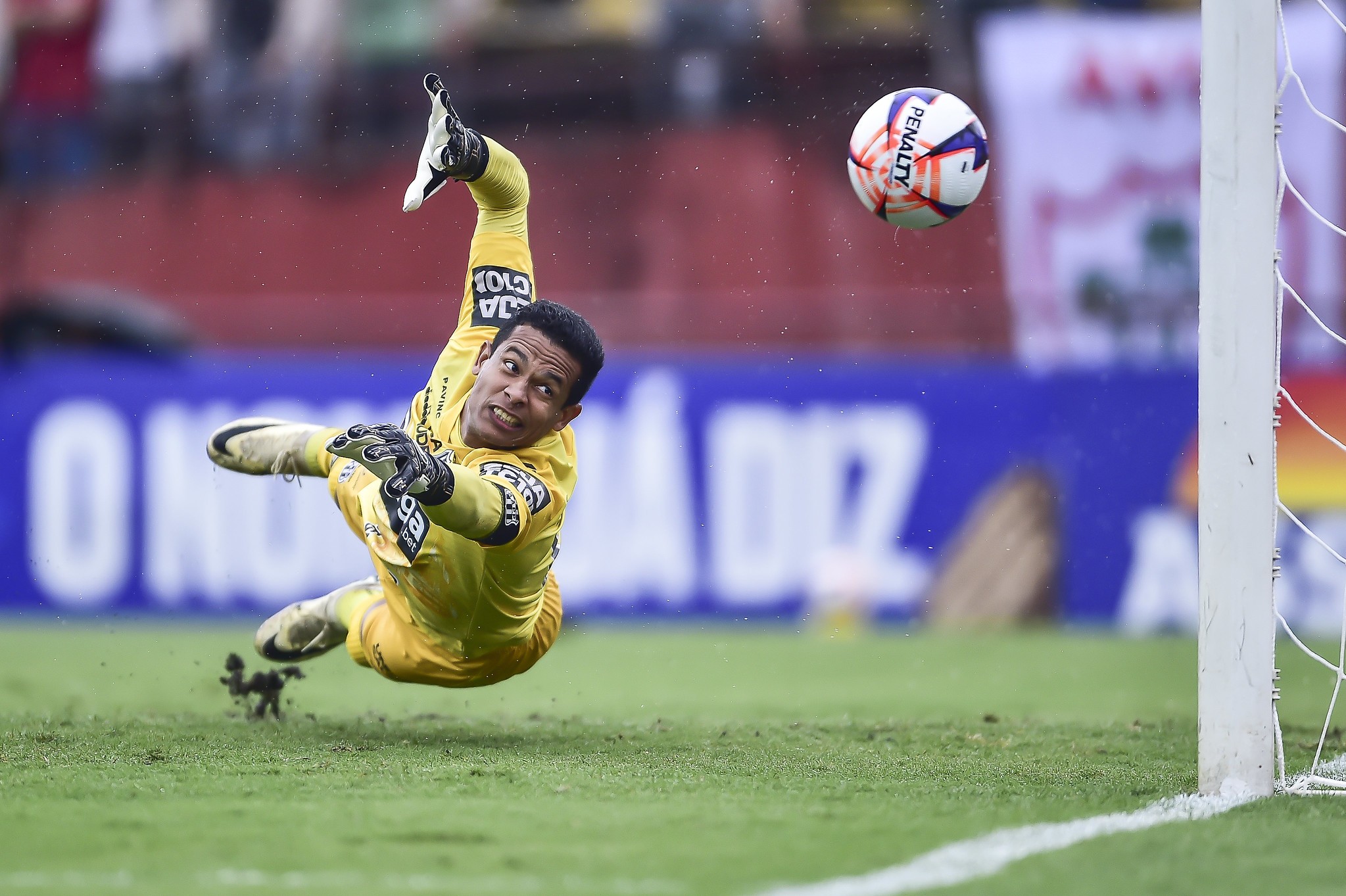 Noroeste contrata goleiro Diogo Silva, ex-Vasco e Ponte Preta