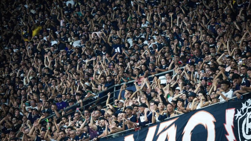 Palpites e dicas para Remo x Coritiba pelo Brasileirão