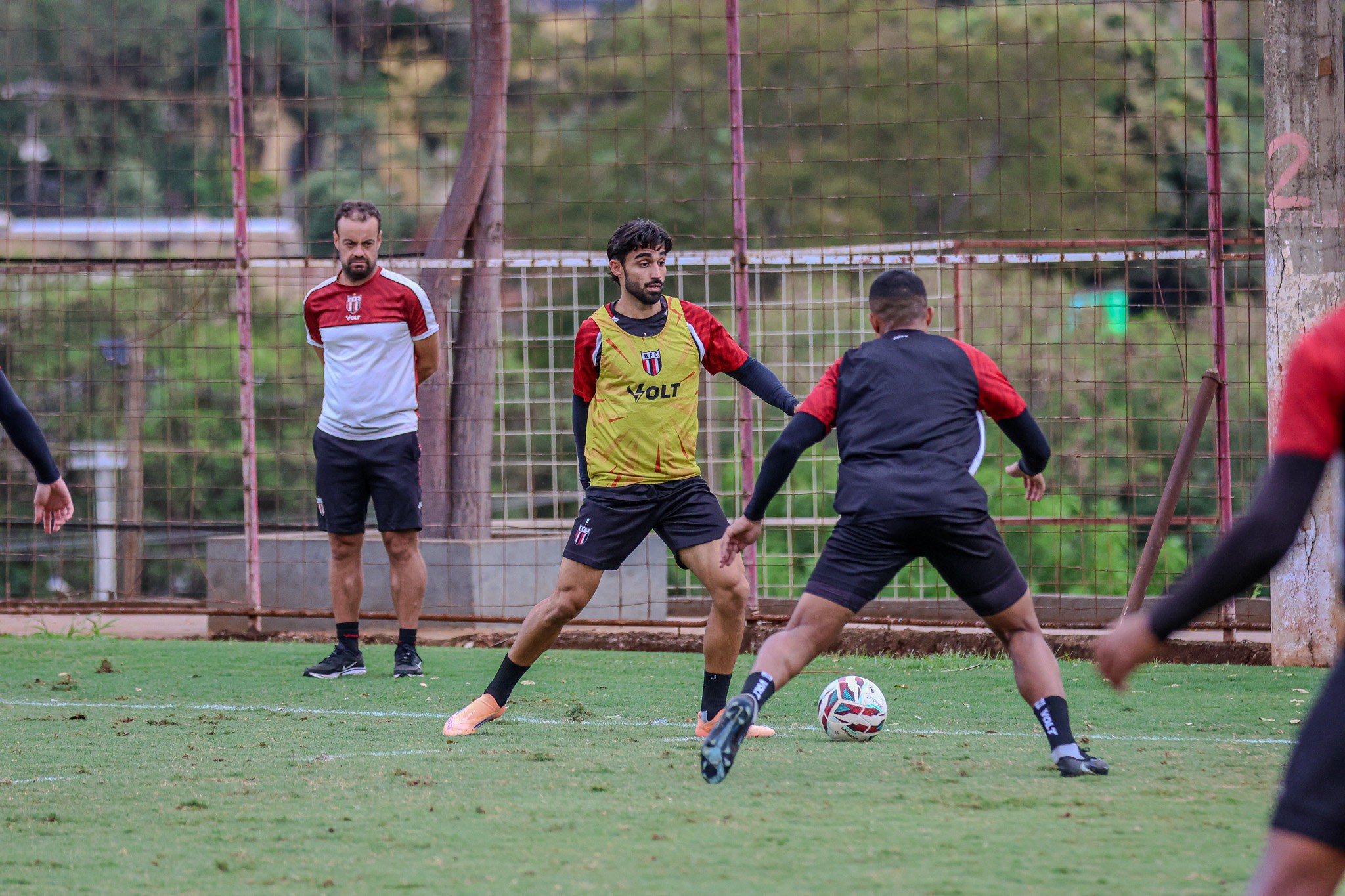 Botafogo-SP busca estabilidade na Série B e Brey aponta adaptação tática como chave