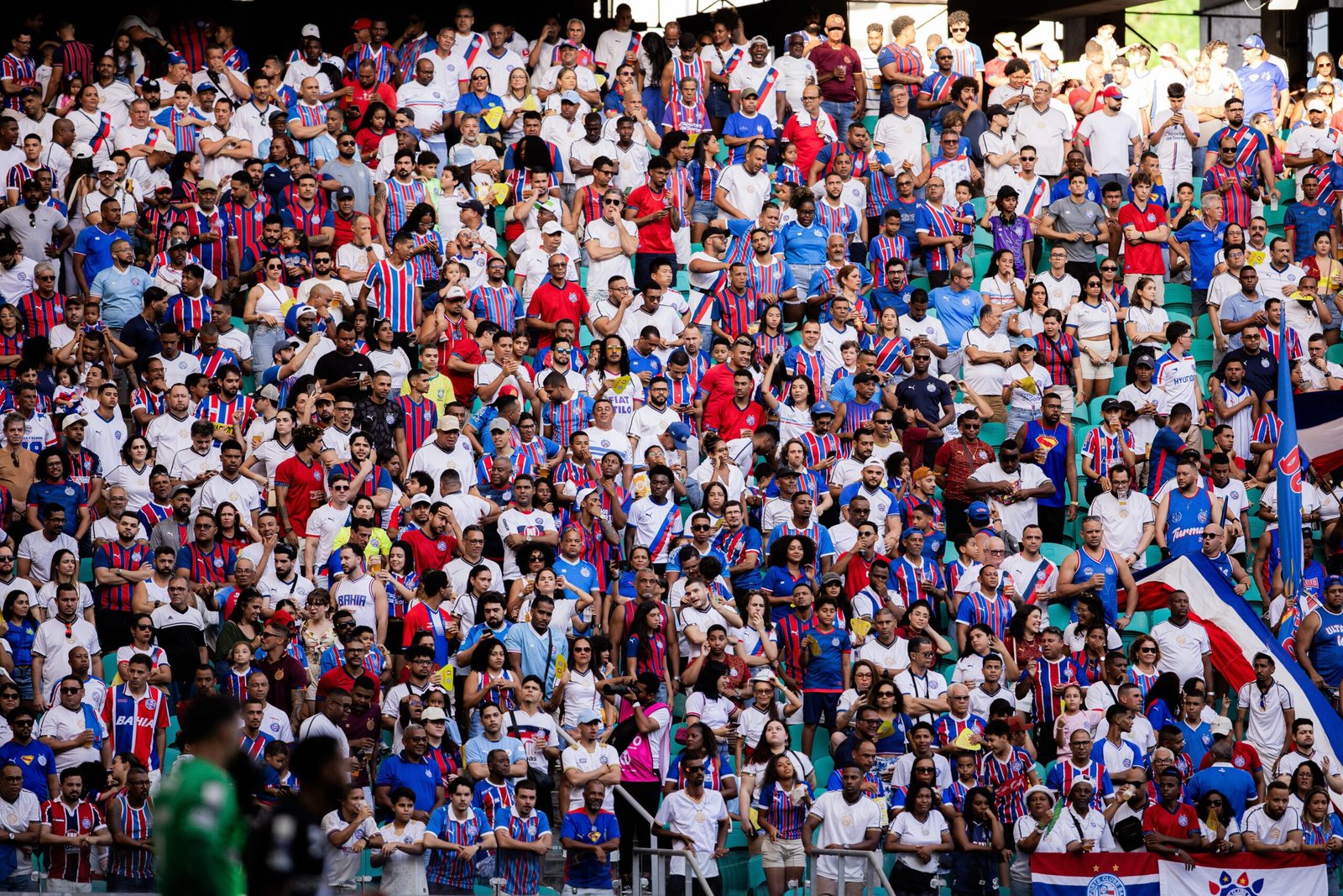 Palpites e dicas para Bahia x Internacional pelo Brasileirão