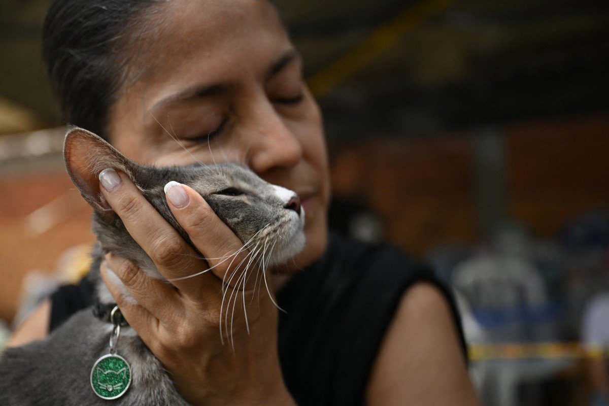 Sobreviventes reencontram animais de estimação após terremoto na Colômbia