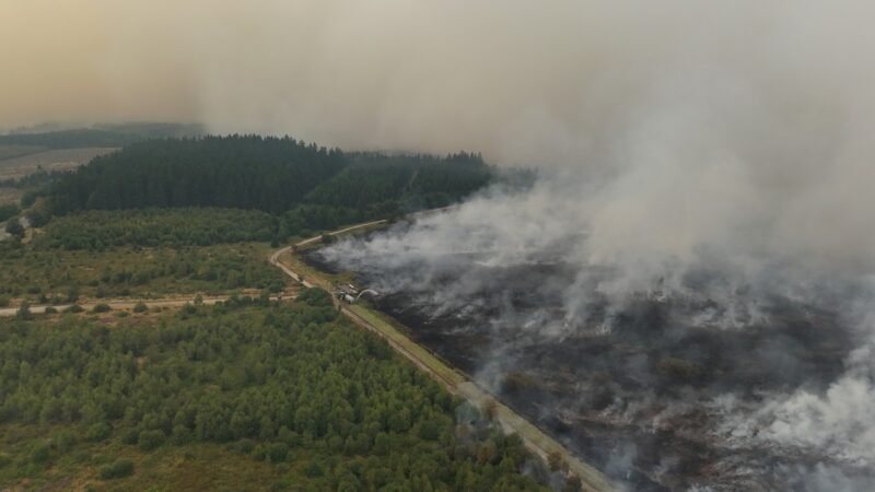 VÍDEO: Drone captura maior incêndio florestal da história da Bélgica