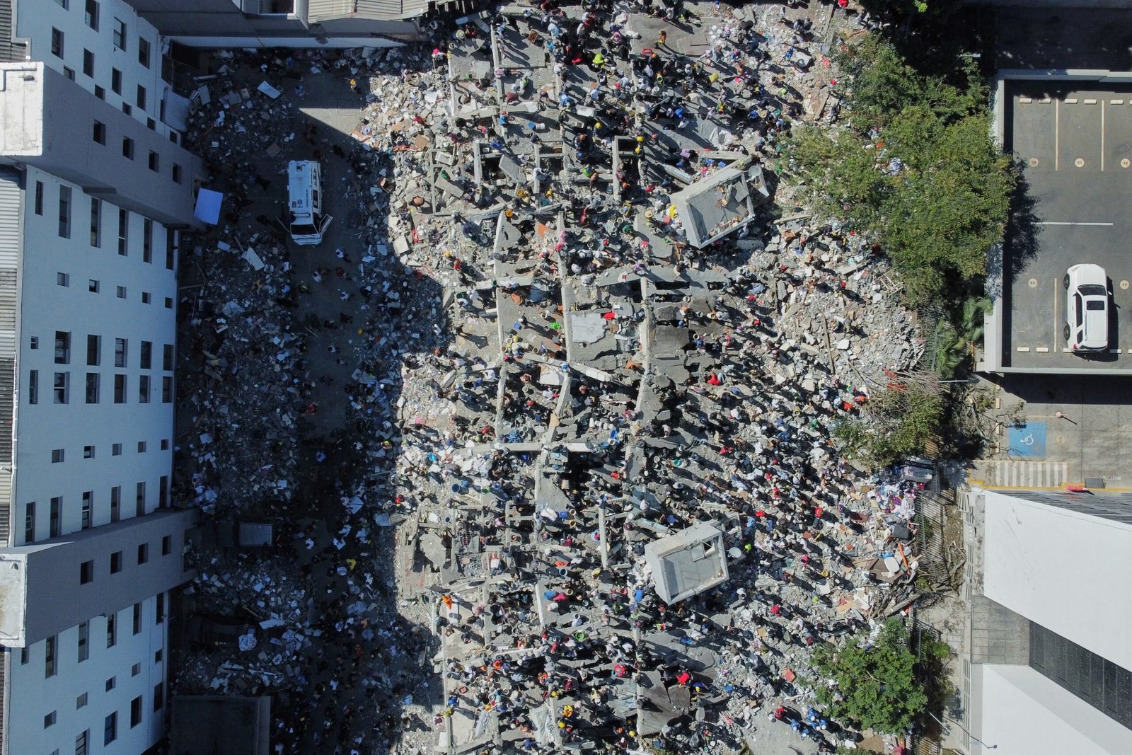 Brasileira vê planta balançar ao acordar e percebe terremoto que atingiu a Colômbia: ‘Sensação estranha’