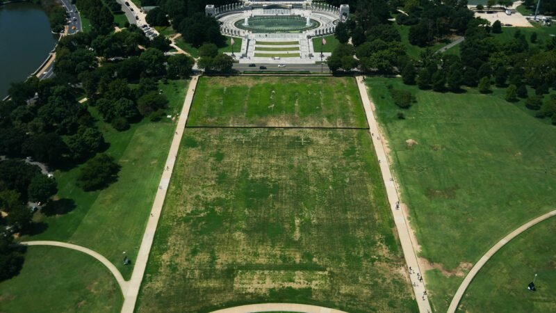 Trump culpa vândalos por grama pisada no local de festa de 4 de julho