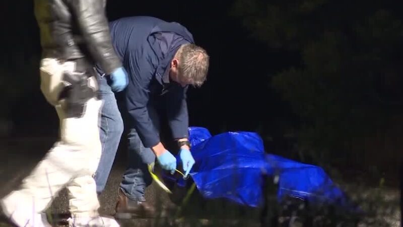 Boneca sexual é ‘confundida’ com vítima de assassinato na Austrália