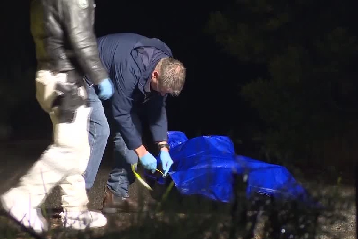 Boneca sexual é ‘confundida’ com vítima de assassinato na Austrália