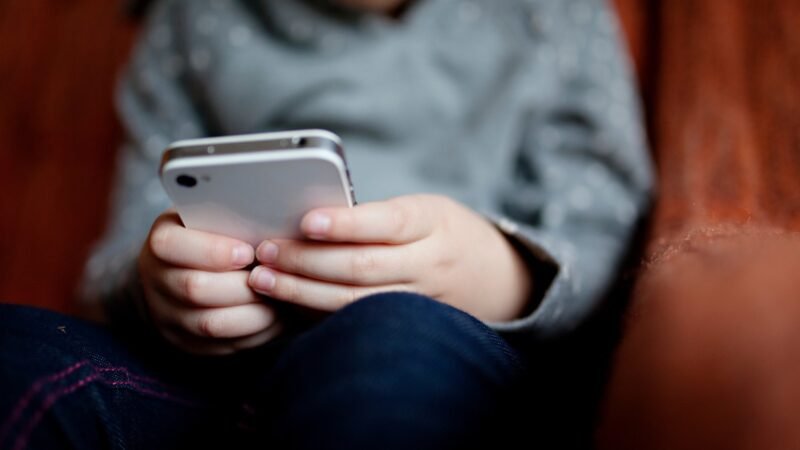 ANPD inicia monitoramento de redes sociais e ferramentas de IA para avaliar proteção de crianças e mulheres