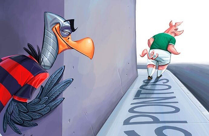Seguindo…