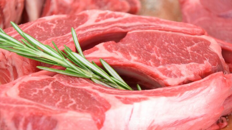 Veto da UE atinge carne e mel brasileiros enquanto ganhavam espaço no mercado europeu