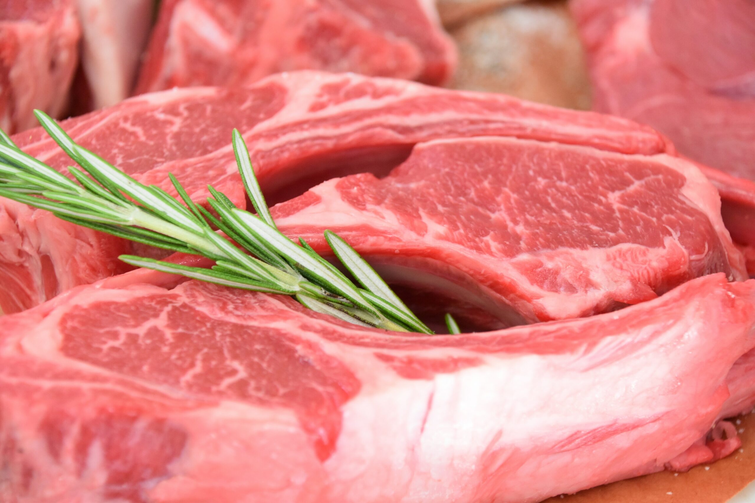 Veto da UE atinge carne e mel brasileiros enquanto ganhavam espaço no mercado europeu