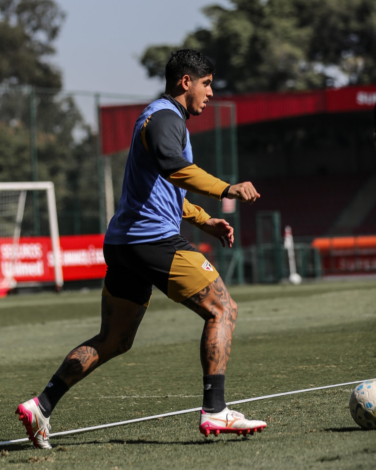 Veja como o São Paulo reformulou o elenco ao longo da temporada