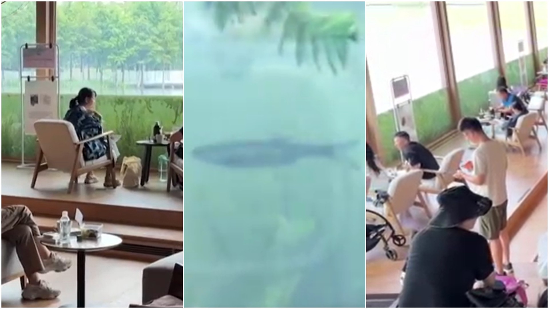 VÍDEO: Livraria ‘subaquática’ na China atrai turistas e moradores para ver fundo de lago