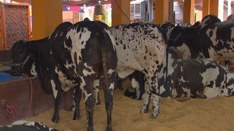 Expo Rio Preto atrai 50 mil visitantes na primeira semana