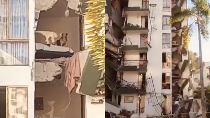 VÍDEO mostra cachorro preso em apartamento após prédio ser destruído por terremoto na Colômbia