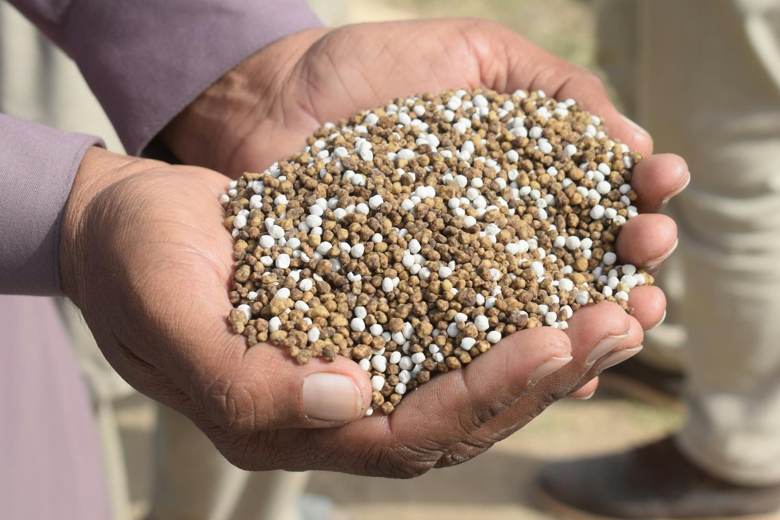 Senado aprova linha de crédito para indústria de fertilizantes, mas sem estipular valores