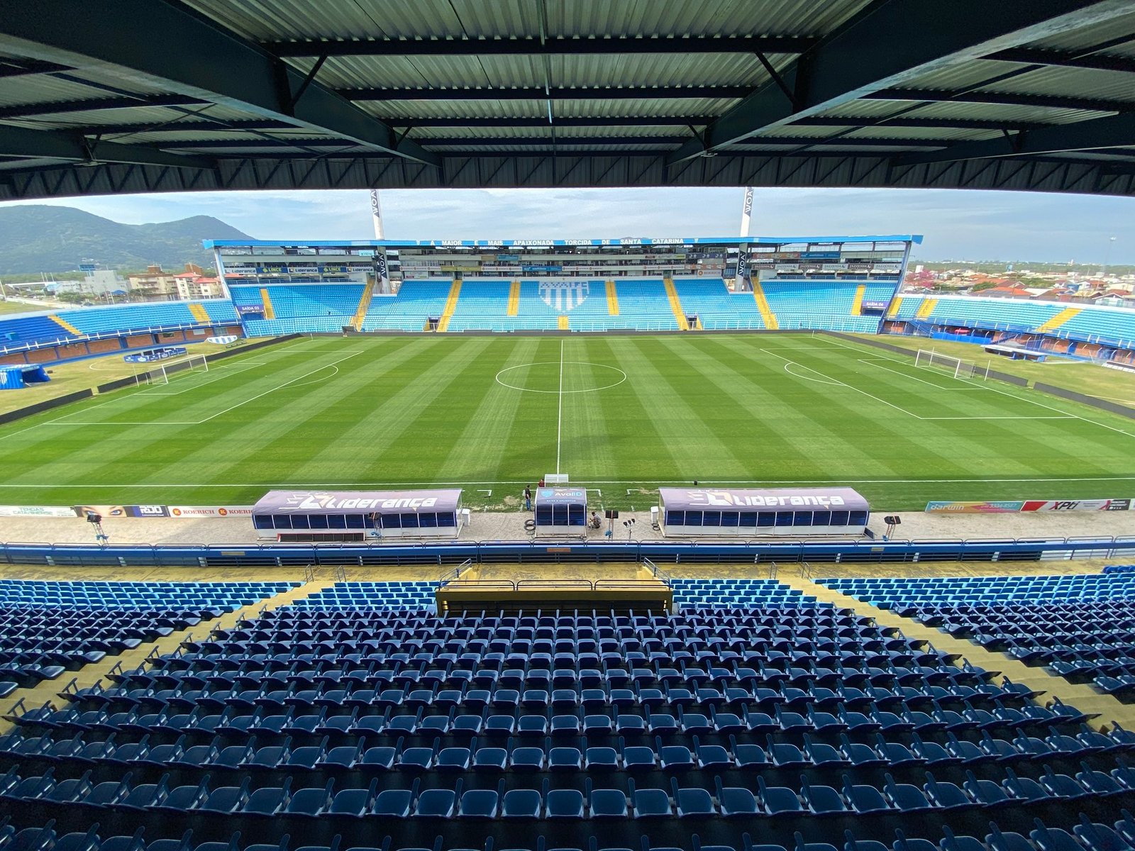 Avaí x Atlético-GO: onde assistir ao vivo, horário e escalações