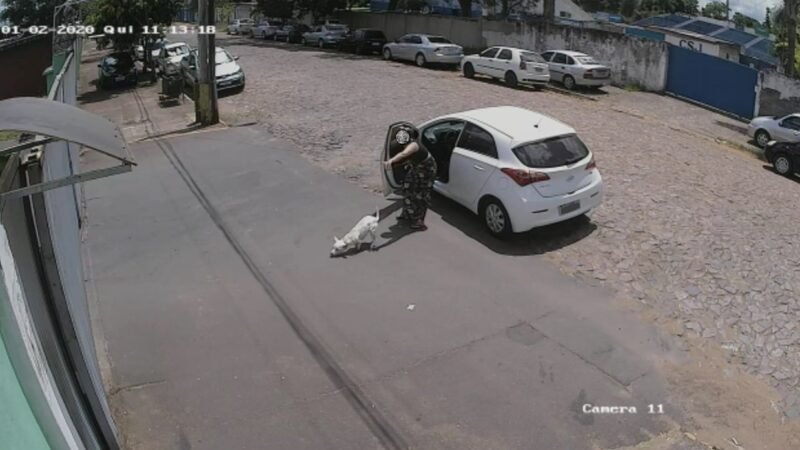 Abandono de animais com carro pode virar infração gravíssima e levar à perda da CNH por 18 meses