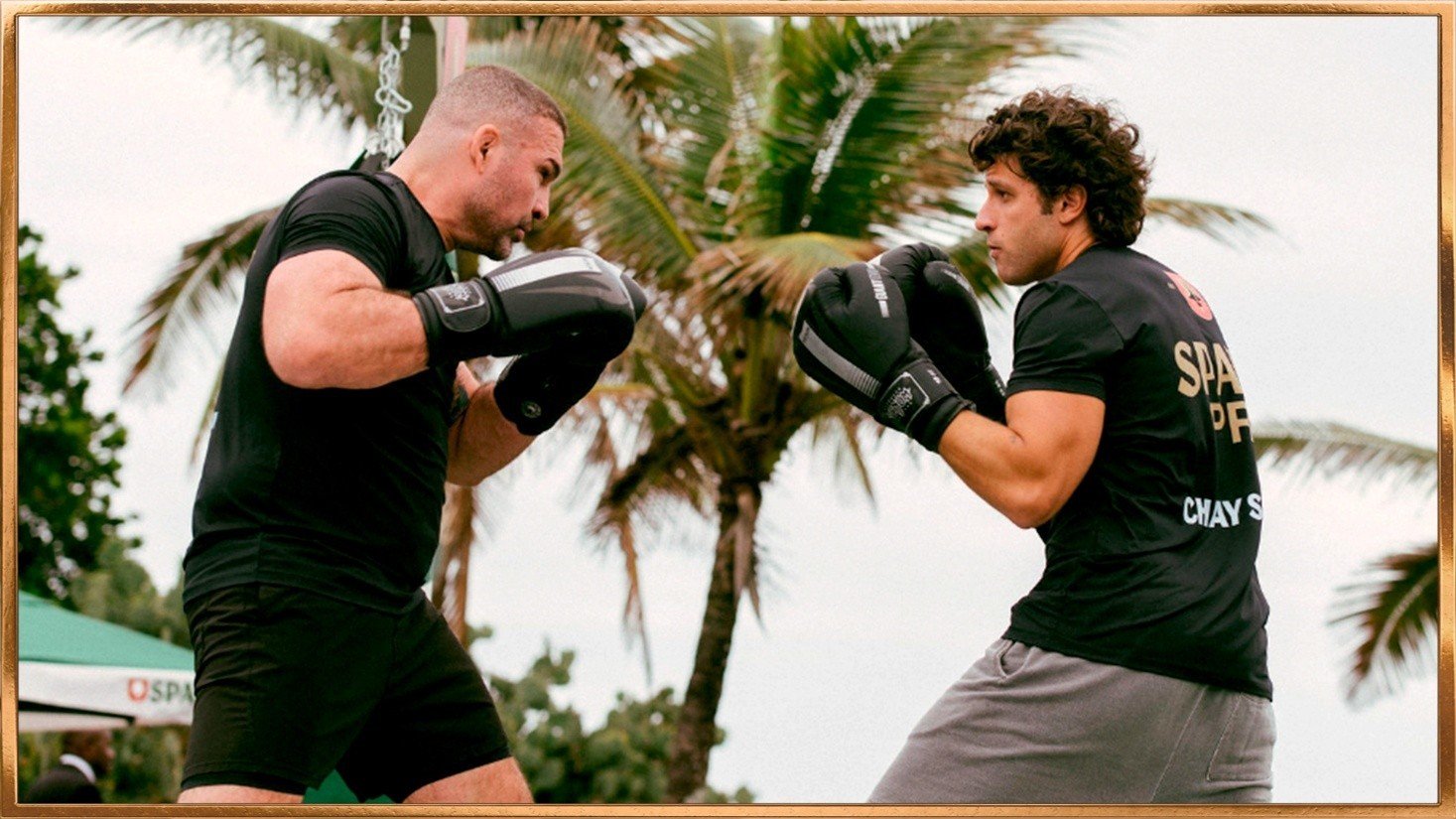 Spaten Fight Night 3: entenda as regras do boxe, judô e jiu-jítsu