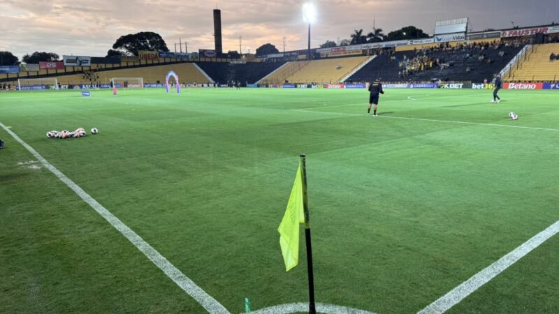 Novorizontino x Sport: onde assistir ao vivo, horário e escalações