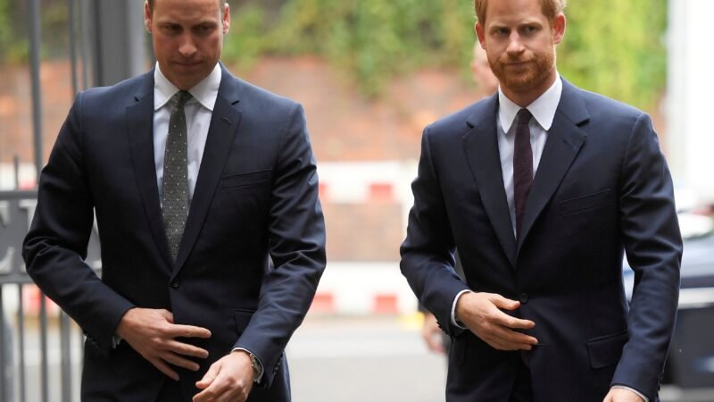 Volta de Harry ao Reino Unido não deve significar reconciliação imediata com William, dizem especialistas